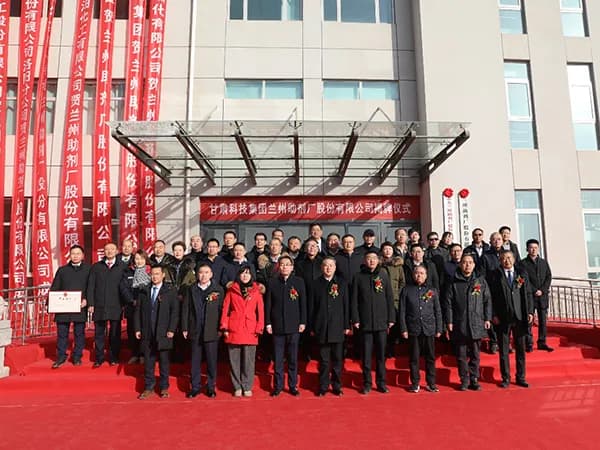 Corporate restructuring