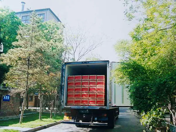 Entered global market